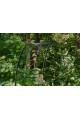 Arche de jardin EMMA