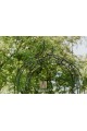 Arche de jardin LENA