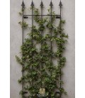 Trellis mural NIKLAS
