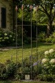 Trellis LUCAS