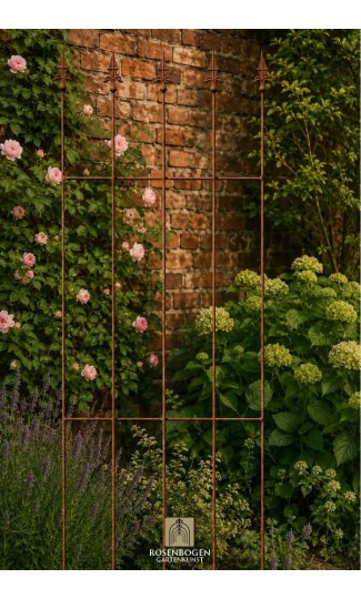 Trellis NIKLAS