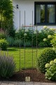 Trellis SIMPLE