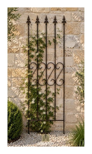 Support pour plantes grimpantes Rose