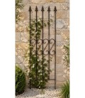 Support pour plantes grimpantes ROSE