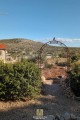 Arche de jardin CLEO