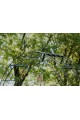 Arche de jardin Lea