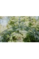 Arche de jardin Lea