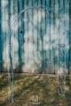 Arche de jardin Sofia