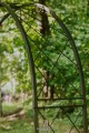 Arche de jardin LILLY