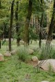 Arche de jardin OVAL
