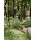 Arche de jardin MAYA