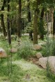 Arche de jardin MAYA