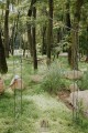 Arche de jardin MAYA