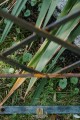 Arche de jardin LOUISA