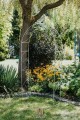 Arche de jardin YASMIN