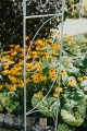 Arche de jardin YASMIN