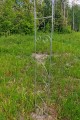 Arche de jardin YASMIN