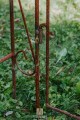 Arche de jardin  ALEX avec portail
