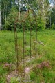 Arche de jardin BIANCA
