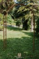 Arche de jardin MELANIE