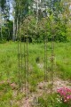 Arche de jardin ALEX Rund