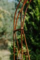 Arche de jardin NINA