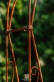Arche de jardin NINA