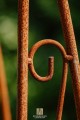 Arche de jardin NINA
