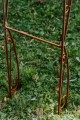 Arche de jardin NINA
