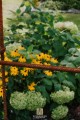 Arche de jardin PETRA
