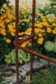 Arche de jardin PETRA
