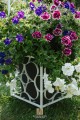 Arche de jardin SABINE