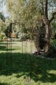 Tunnel de jardin LEA Spitze