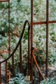 Arche de jardin LIVIA avec portail