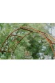 Arche de jardin CLARA