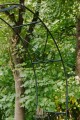 Arche de jardin CLARA