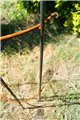 Trellis SIMPLE