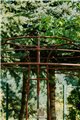 Trellis VOLCANO