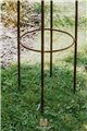Trellis VOLCANO