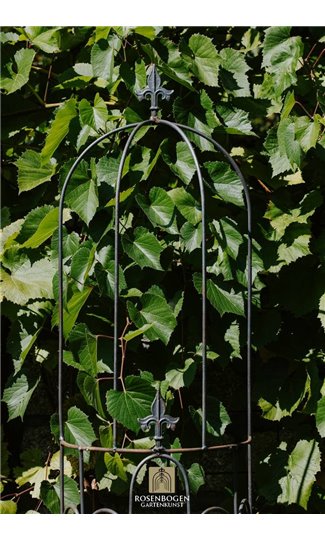 Trellis FLORIAN