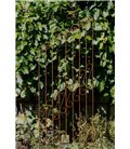Trellis KARL