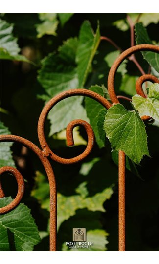 Trellis KARL