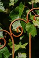 Trellis KARL