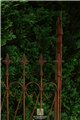 Trellis ABEL