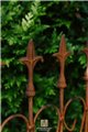Trellis ABEL