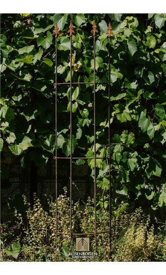 Trellis LUCAS