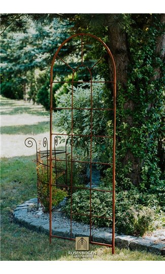 Trellis OTTO