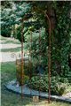 Trellis OTTO
