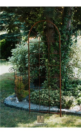 Trellis OTTO