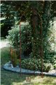 Trellis OTTO